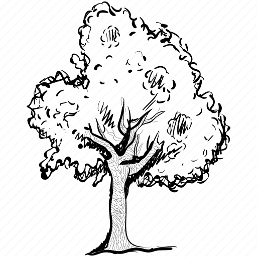 1, tree, forest tree, timber, natural tree, wild tree icon - Download on Iconfinder
