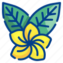 flower, hawaii, tropical, blossom, holidays
