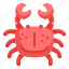 crab, sea, beach, animal, aquatic 