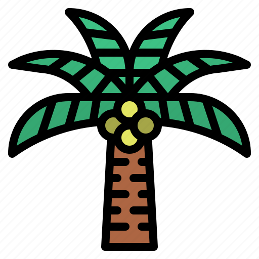 Coconut, tree, jungle, nature, tropical icon - Download on Iconfinder