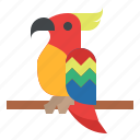 parrot, bird, animal, wildlife, tropical