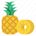 pineapple, tropical, plant, fruit