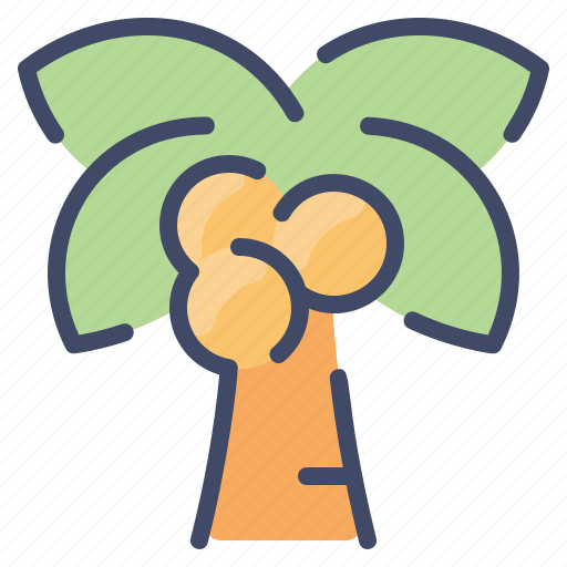 Coconut, fruit, nature, palm, plant, tree icon - Download on Iconfinder