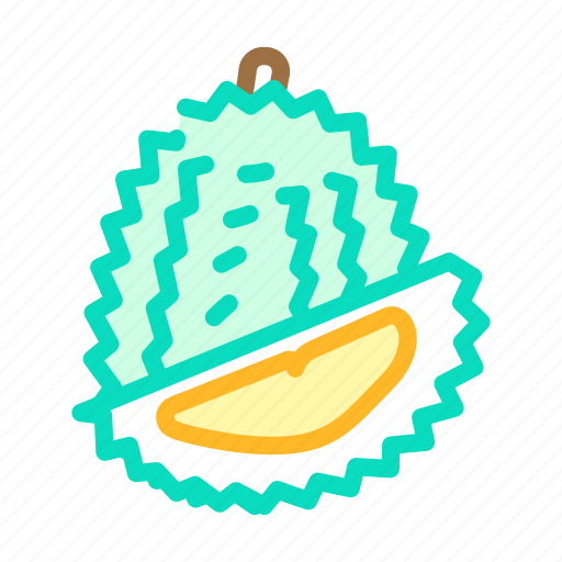Durian, fruit, tropical, delicious, food, mango icon - Download on Iconfinder