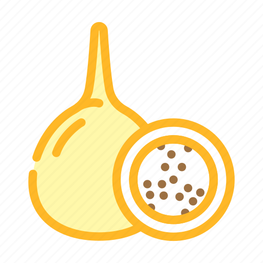 Granadilla, fruit, tropical, delicious, food icon - Download on Iconfinder