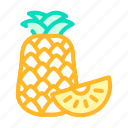 pineapple, fruit, tropical, delicious, food