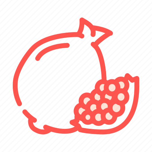 Pomegranate, fruit, tropical, delicious, food, mango icon - Download on Iconfinder
