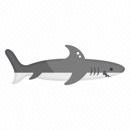 Aquatic animal, creature, fish, selachimorpha, shark, specie icon - Download on Iconfinder