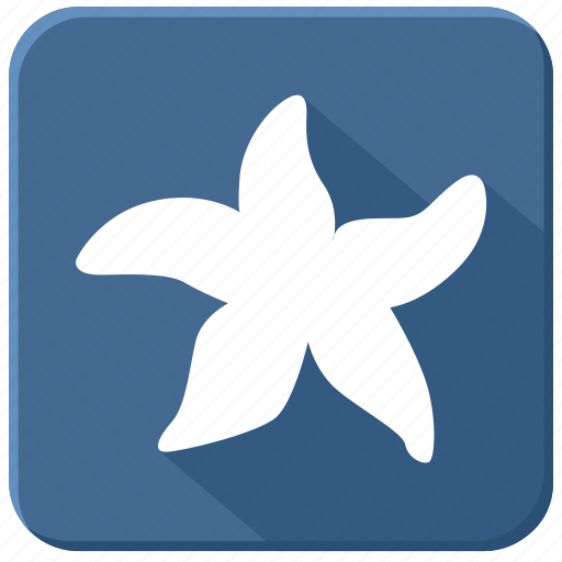 Ocean, plant, sea, star, underwater icon - Download on Iconfinder