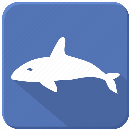 Sea, shark, underwater, whale icon - Download on Iconfinder
