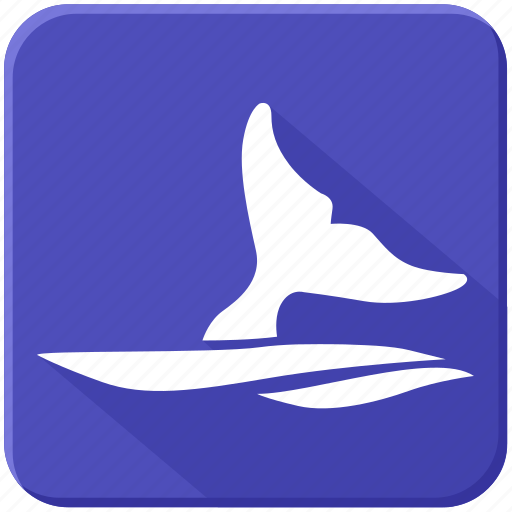 Fin, sea, underwater, whale icon - Download on Iconfinder