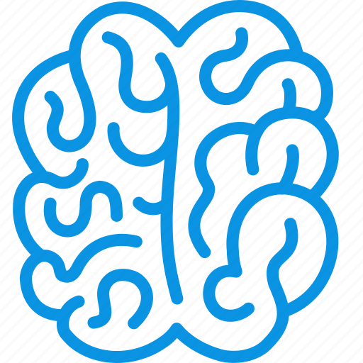 Anatomy, brain, mind icon - Download on Iconfinder