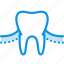 gum, teeth, tooth 
