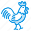 chicken, cock, rooster 
