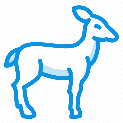 Deer, doe, springbok icon - Download on Iconfinder