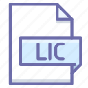 extension, lic, license