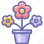 flowers, pot, present 