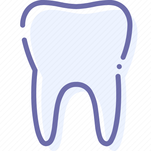 Anatomy, healthy, teeth, tooth icon - Download on Iconfinder
