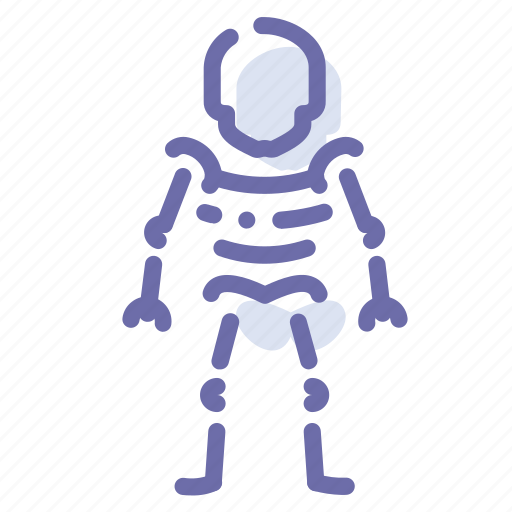 Anatomy, bones, skeleton, skull icon - Download on Iconfinder