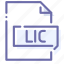 extension, file, lic, license 