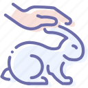 animal, friendly, hand, rabbit
