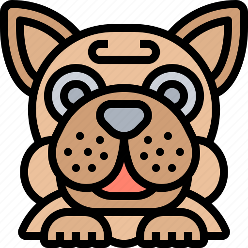 Bulldog, british, pet, breed, animal icon - Download on Iconfinder