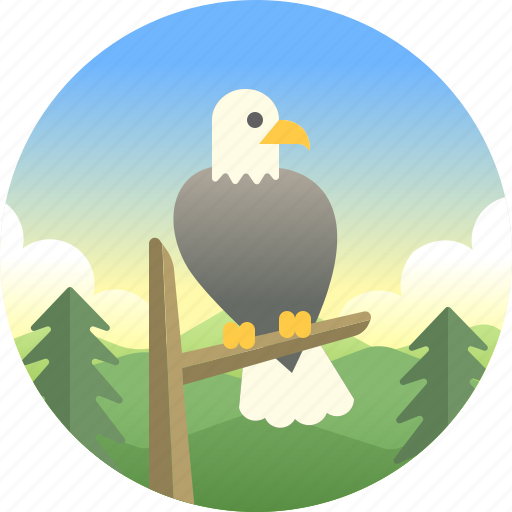 America, animal, bald eagle, bird, eagle, usa, wildlife icon - Download on Iconfinder