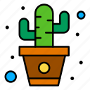 botanical, cactus, prickly, pear, succulent, wild, plant