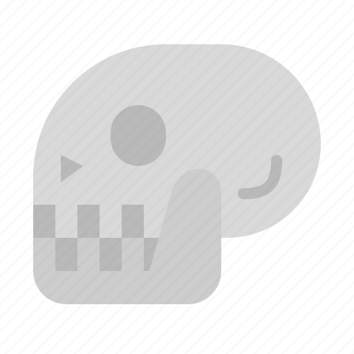 Anatomy, bones, dead, history, parts, skeleton icon - Download on Iconfinder