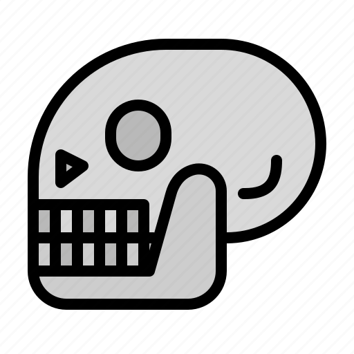 Anatomy, bones, dead, history, parts, skeleton icon - Download on Iconfinder
