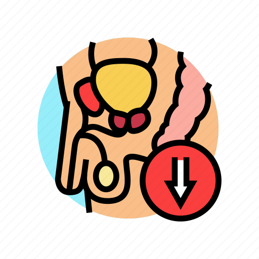 Erectile, dysfunction, urology, prostate, urinary, kidney icon - Download on Iconfinder