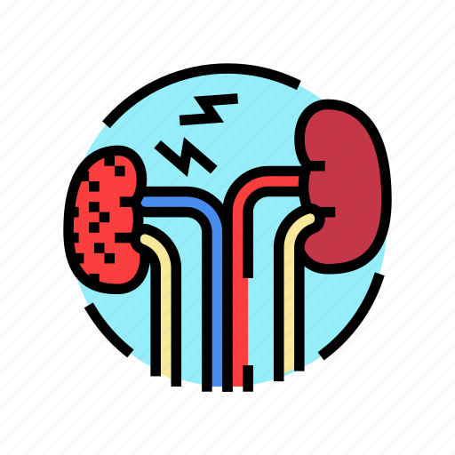 Renal, failure, urology, prostate, urinary, kidney icon - Download on Iconfinder