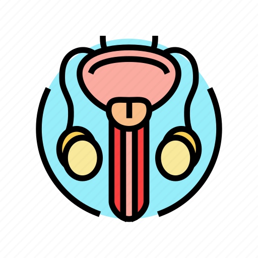 Urethral, stricture, urology, prostate, urinary, kidney icon - Download on Iconfinder