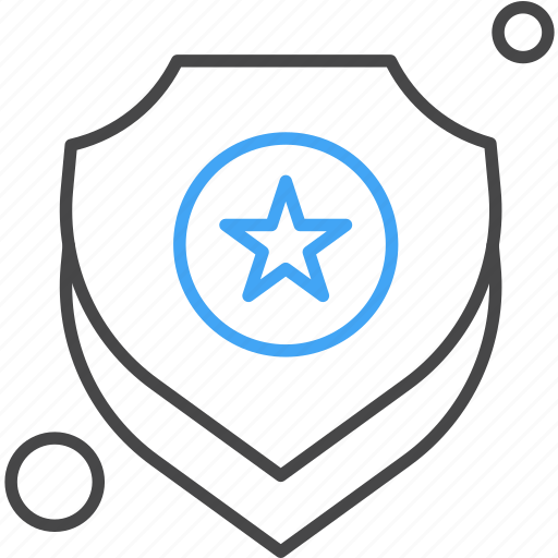 Protection, security, shield, usa icon - Download on Iconfinder