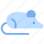 mouse, rat, experimental, experiment, animal 