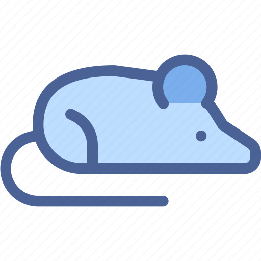 Mouse, rat, experimental, experiment, animal icon - Download on Iconfinder