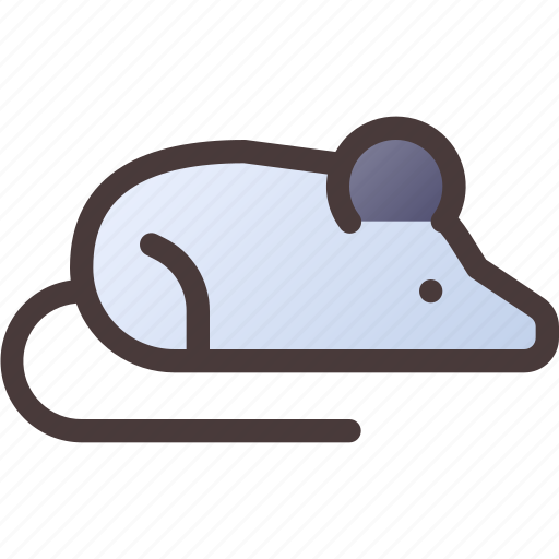 Mouse, rat, experimental, experiment, animal icon - Download on Iconfinder