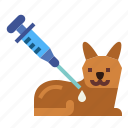 cat, vaccine, vaccination, animal, syringe