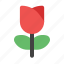 flower, tulip, rose, valentines, love, and, romance 