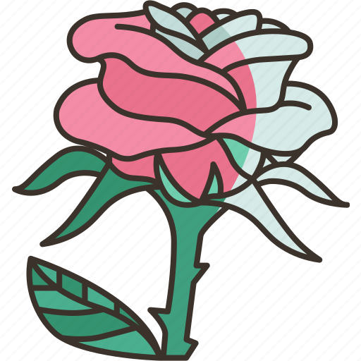 Rose, flower, flora, romantic, valentine icon - Download on Iconfinder