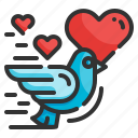 bird, valentines, heart, lover, romantic, fly, pigeon