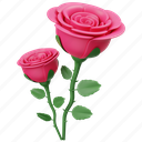 rose, flower, floral, garden, decoration, valentine, nature, plant, romantic 