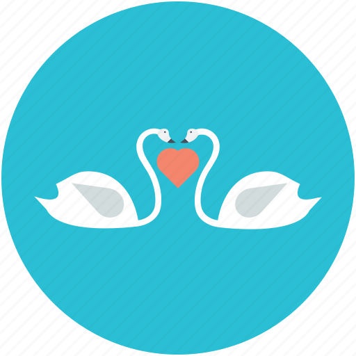 Animal love, greetings, in love ducks, kissing ducks, two ducks icon - Download on Iconfinder