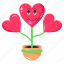 love plant, heart plant, love growth, valentine plant, houseplant 