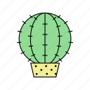 cactus, flower, green, nature, plant, tree, tropicalplant