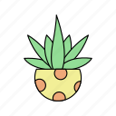 cactus, flower, green, nature, plant, tree, tropicalplant