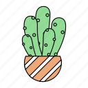 cactus, flower, green, nature, plant, tree, tropicalplant 