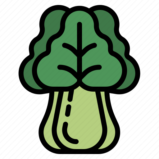 Vegetable, bok, choy, vegan, vegetarian icon - Download on Iconfinder