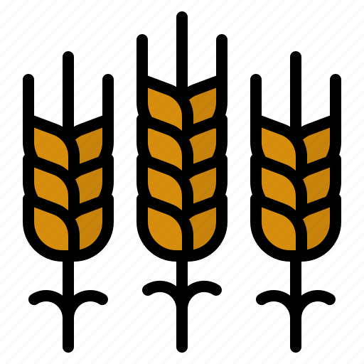 Wheat, vegan, food, healthy, vegetarian icon - Download on Iconfinder