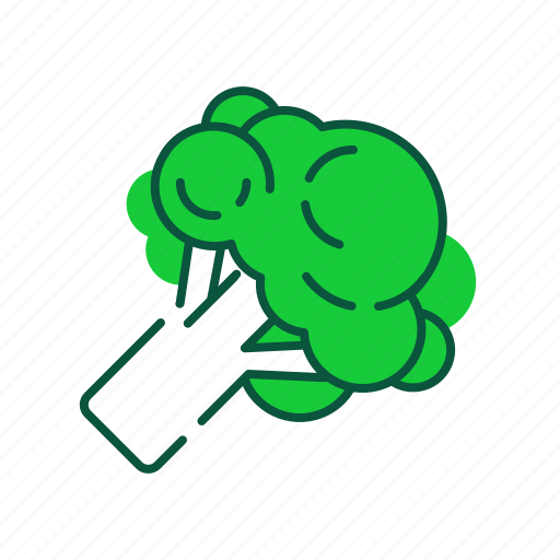 Broccoli, food, health care, healthy, lifestyle, vegan, vegetable icon - Download on Iconfinder